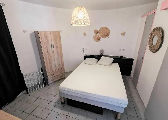 Villa Ile Des Pecheurs - Mas T3 6 Couchages Le Barcares - Ile Des Pecheurs Mae-7774 Leucate